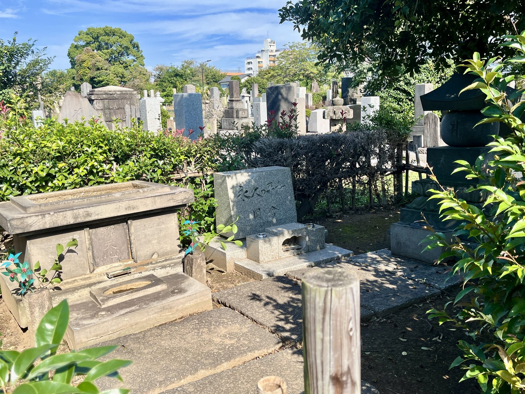 岡倉天心の墓(染井霊園) 写真1
